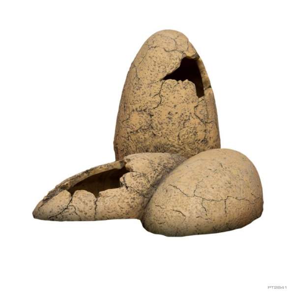 Preview: DINOSAUR EGGS